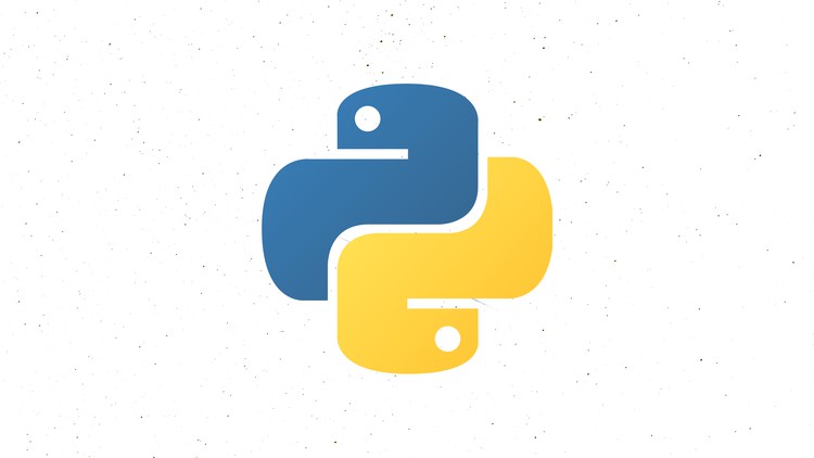 Unveiling the Path to Becoming a Python Developer